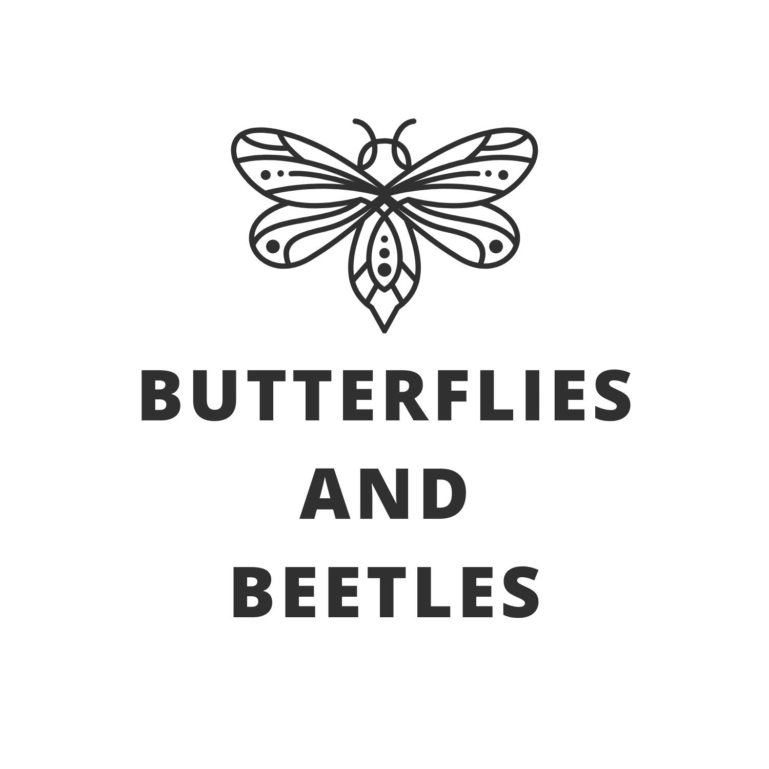 About Us – Butterflies and Beetles